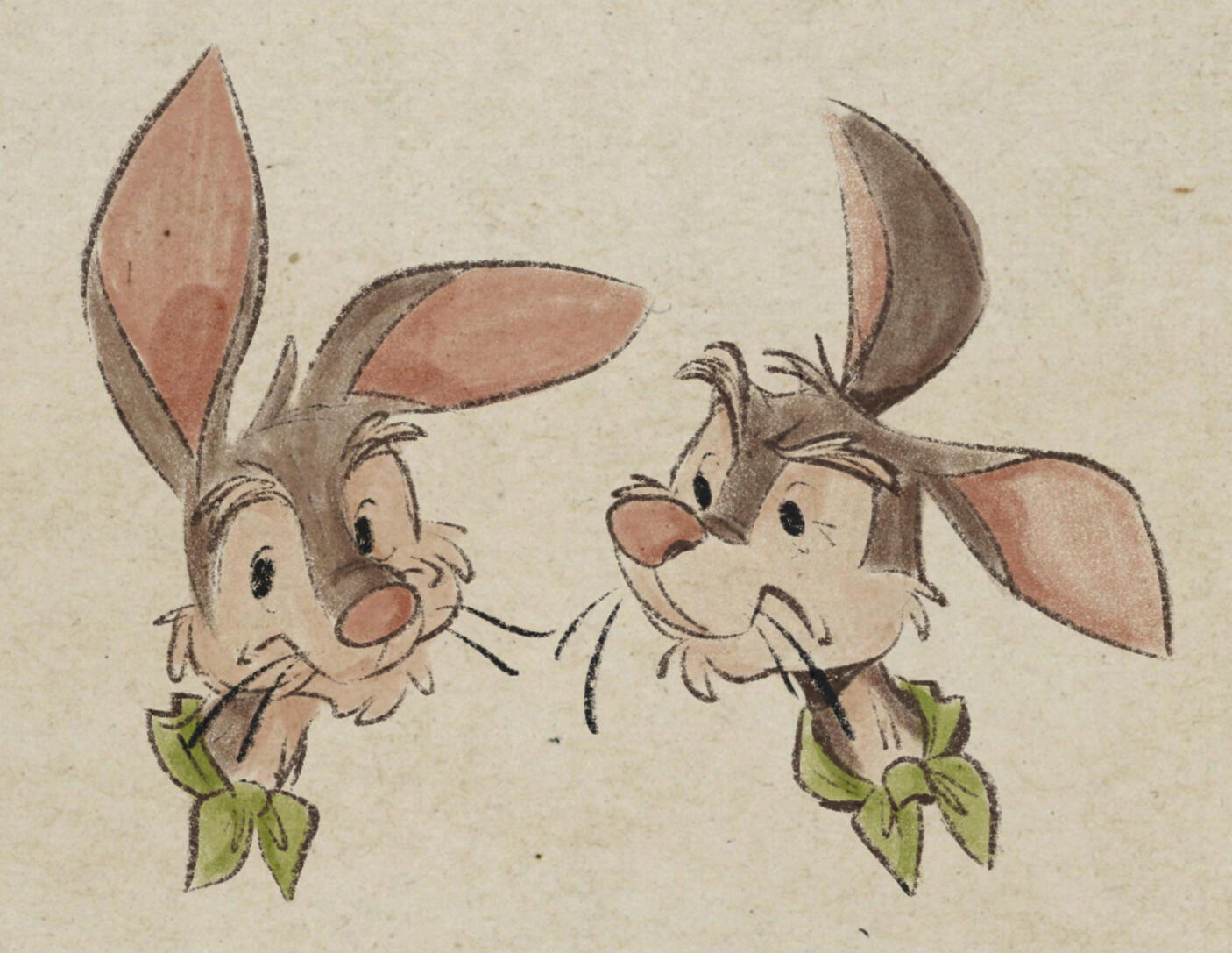 Musical Rabbit Sketches